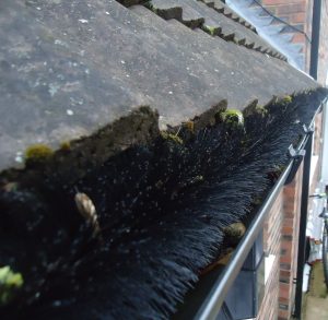 Gutterbrush - Stop blocked gutters